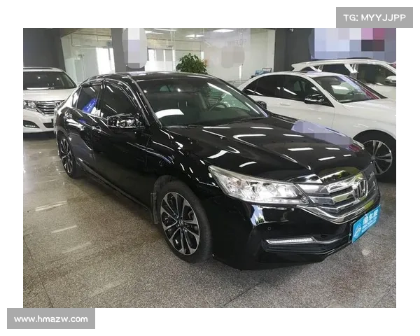 全新雅阁没有2.0T，扭头花14万买辆二手的，验车师：3.0排量少见